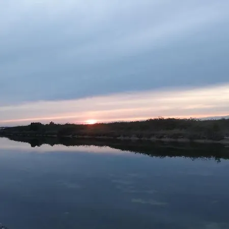 Salicornia 卡瓦利诺