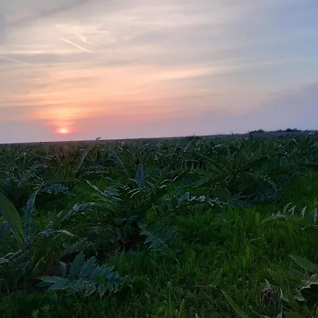 住宿加早餐酒店 Salicornia
